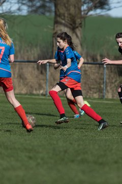 Bild 234 - C-Juniorinnen SV Steinhorst/Labenz - TSV Friedrichsberg-Busdorf : Ergebnis: 5:0